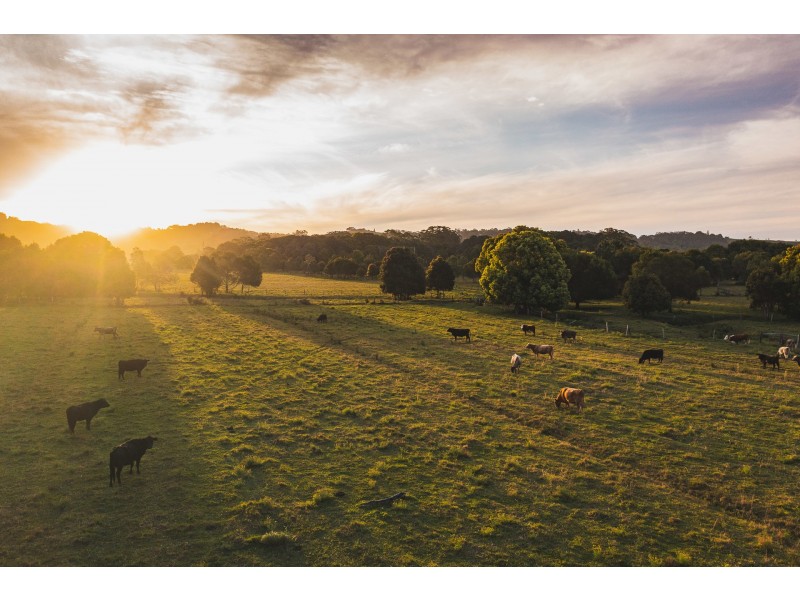14 Armstrong Lane, Broken Head NSW 2481