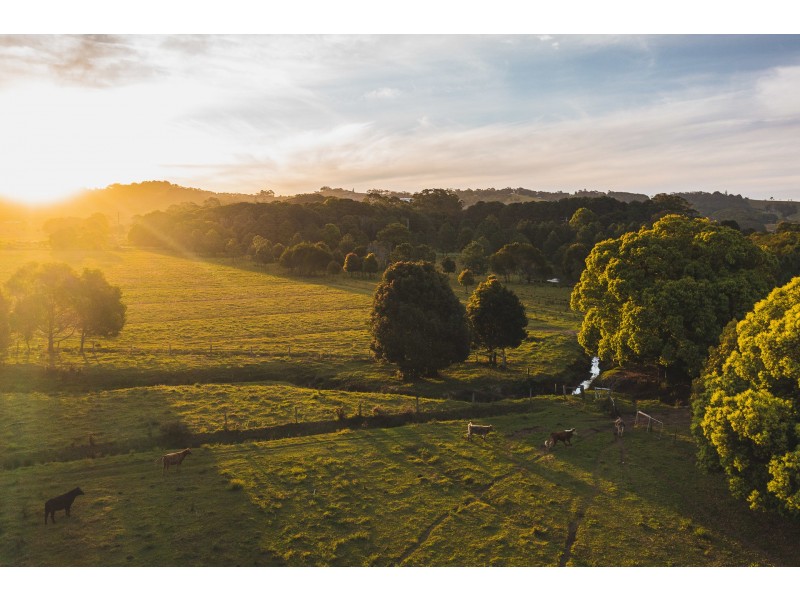 14 Armstrong Lane, Broken Head NSW 2481
