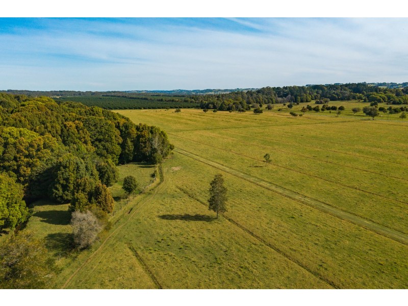 14 Armstrong Lane, Broken Head NSW 2481