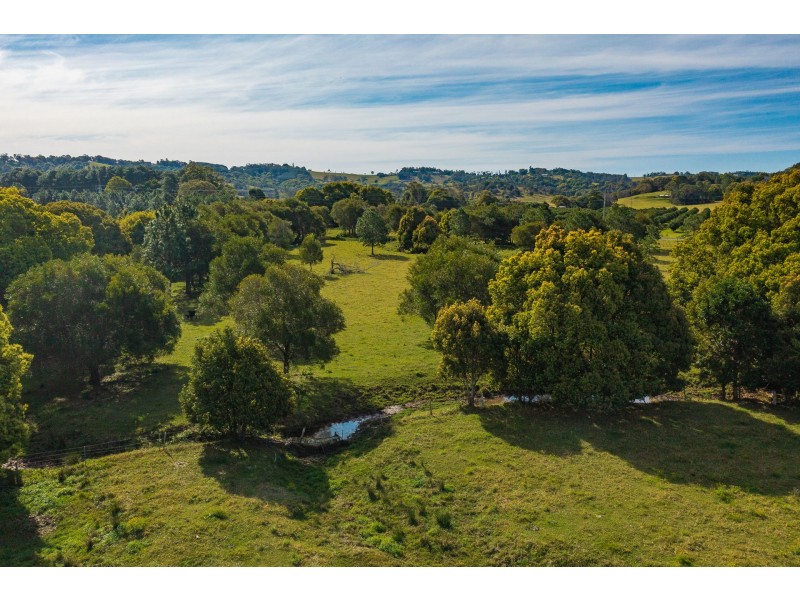 14 Armstrong Lane, Broken Head NSW 2481