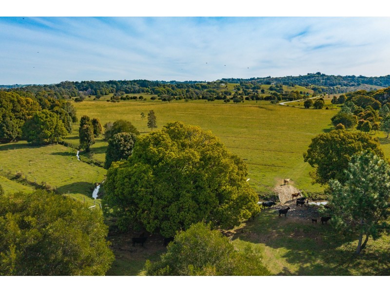 14 Armstrong Lane, Broken Head NSW 2481
