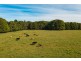 14 Armstrong Lane, Broken Head NSW 2481