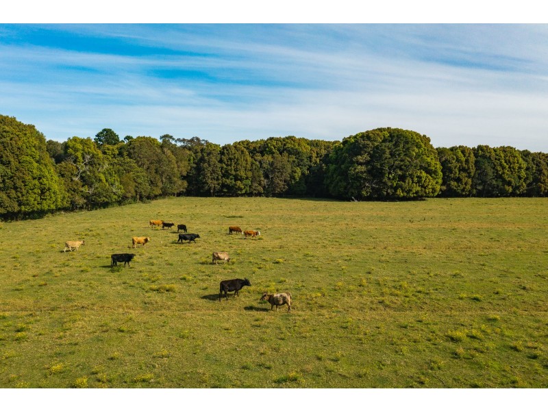 14 Armstrong Lane, Broken Head NSW 2481