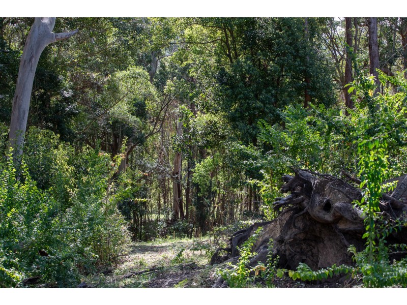 18 Armstrong Lane, Broken Head NSW 2481