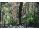 18 Armstrong Lane, Broken Head NSW 2481