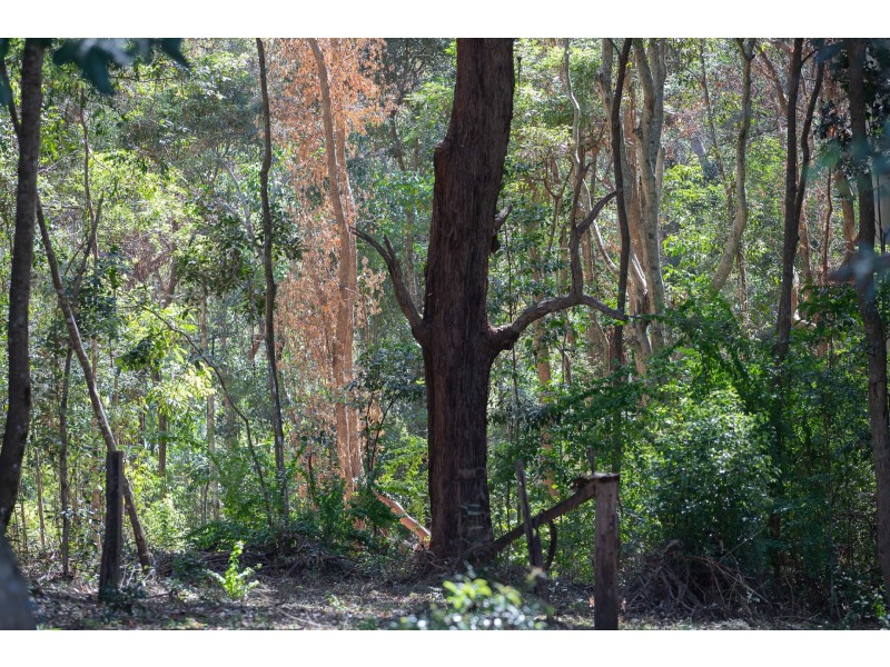 18 Armstrong Lane, Broken Head NSW 2481