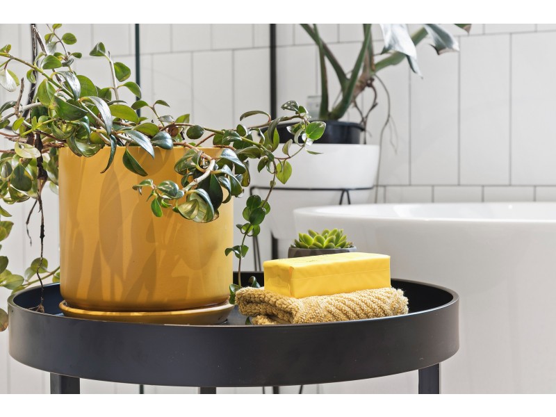 23 Morrison Avenue, Mullumbimby NSW 2482