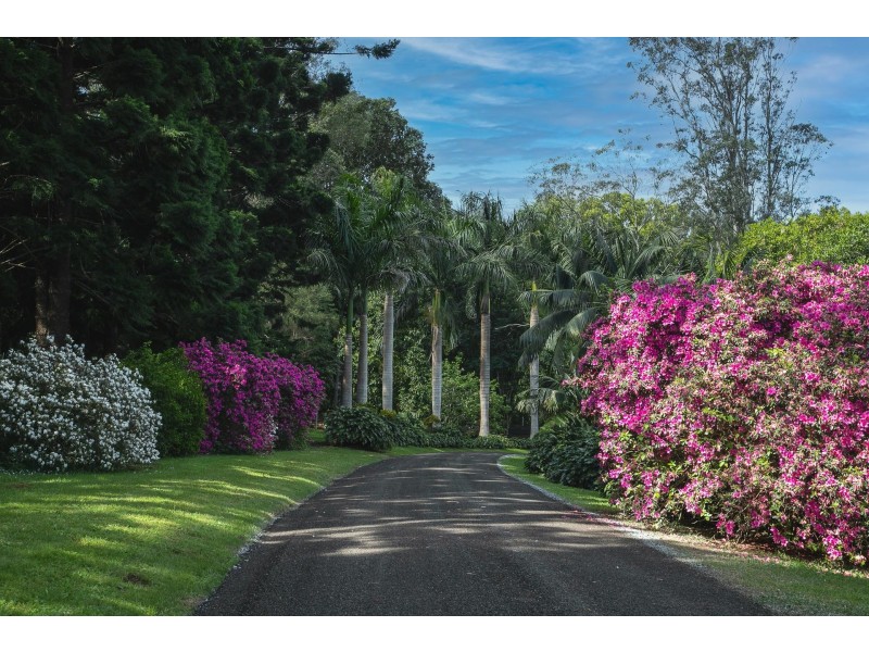 517 Friday Hut Road, Brooklet NSW 2479