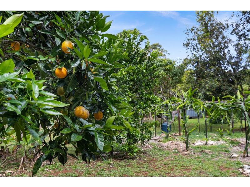 4/231 Fowlers Lane, Bangalow NSW 2479