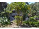 41 Brushbox Drive, Mullumbimby Creek NSW 2482