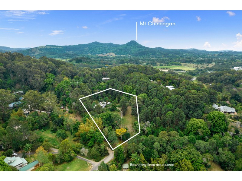 41 Brushbox Drive, Mullumbimby Creek NSW 2482