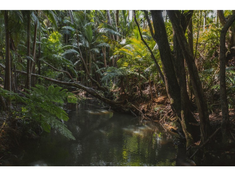 4 Elkhorn Place, Bangalow NSW 2479