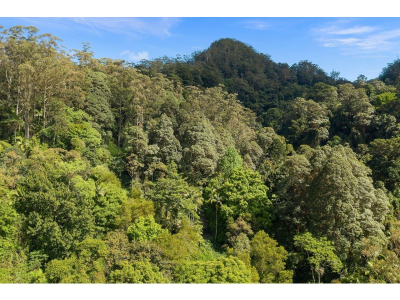 600 Huonbrook Road, Huonbrook NSW 2482