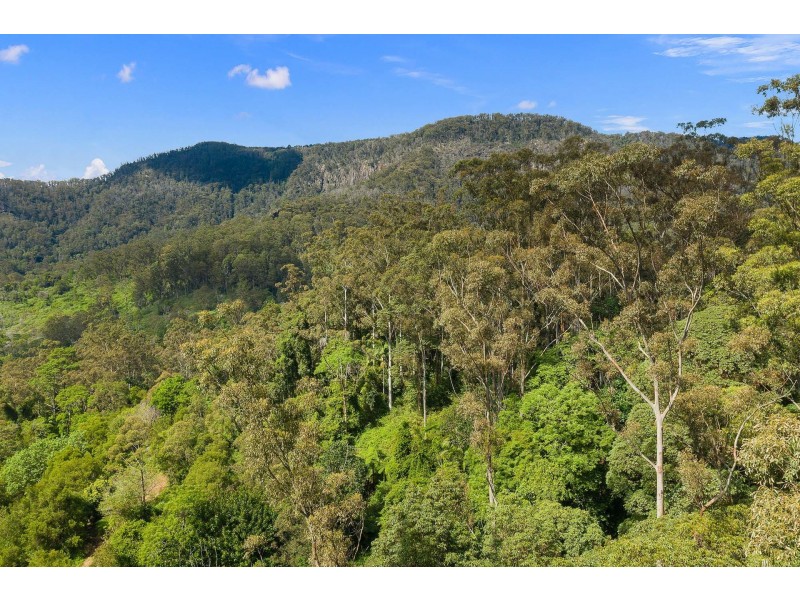 600 Huonbrook Road, Huonbrook NSW 2482