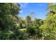 600 Huonbrook Road, Huonbrook NSW 2482