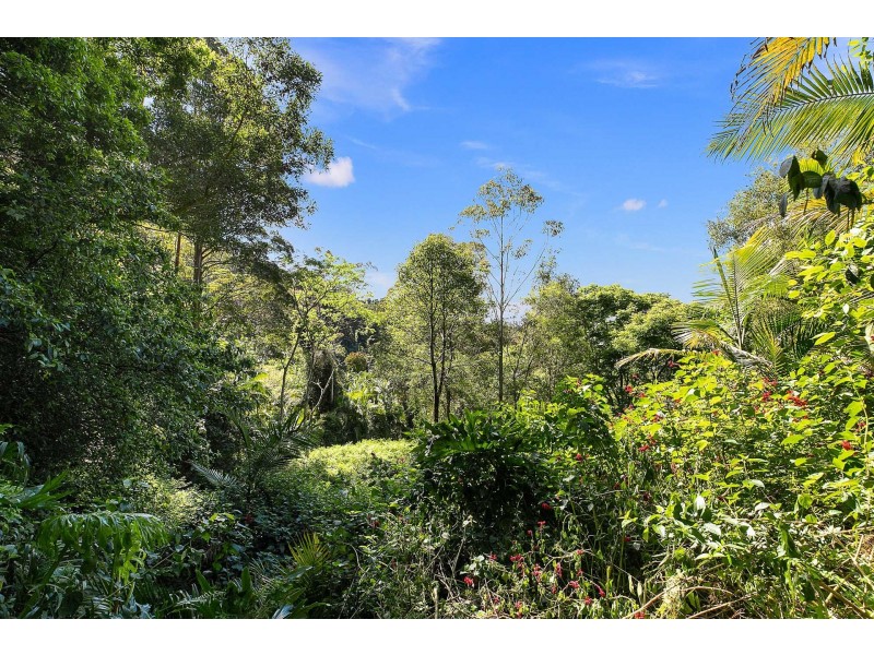 600 Huonbrook Road, Huonbrook NSW 2482