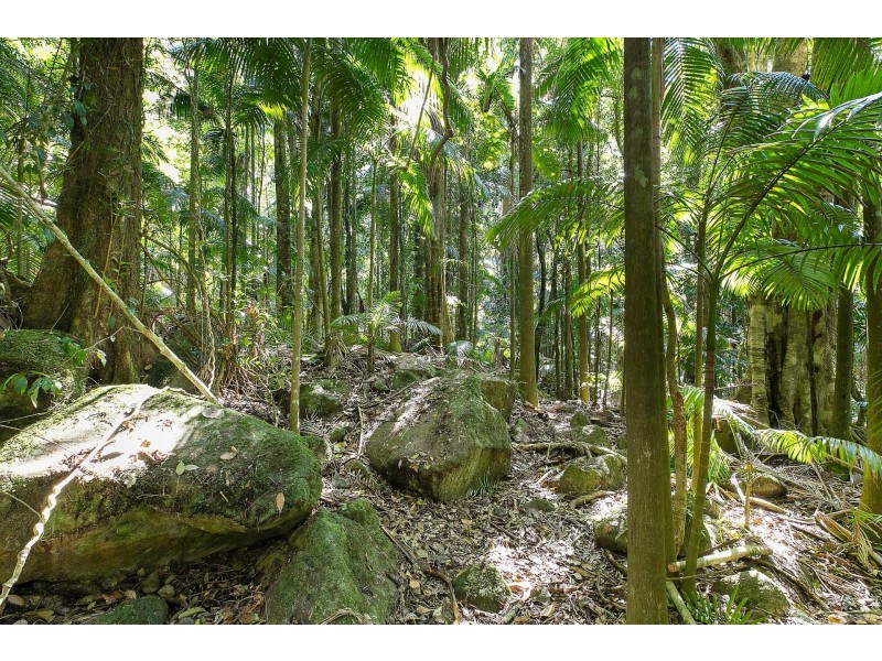 600 Huonbrook Road, Huonbrook NSW 2482