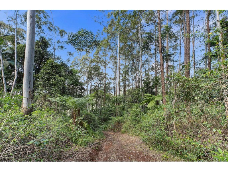 600 Huonbrook Road, Huonbrook NSW 2482