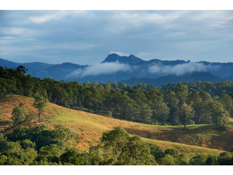 Dunbible NSW 2484
