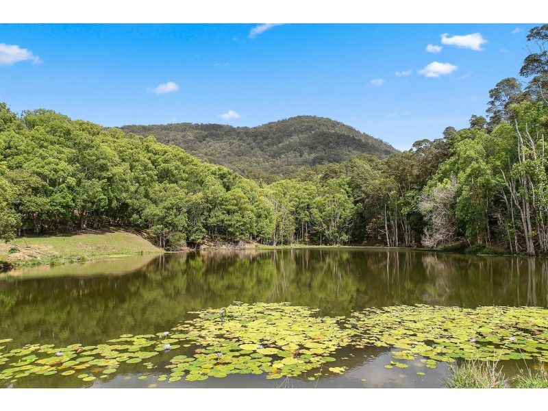 Dunbible NSW 2484