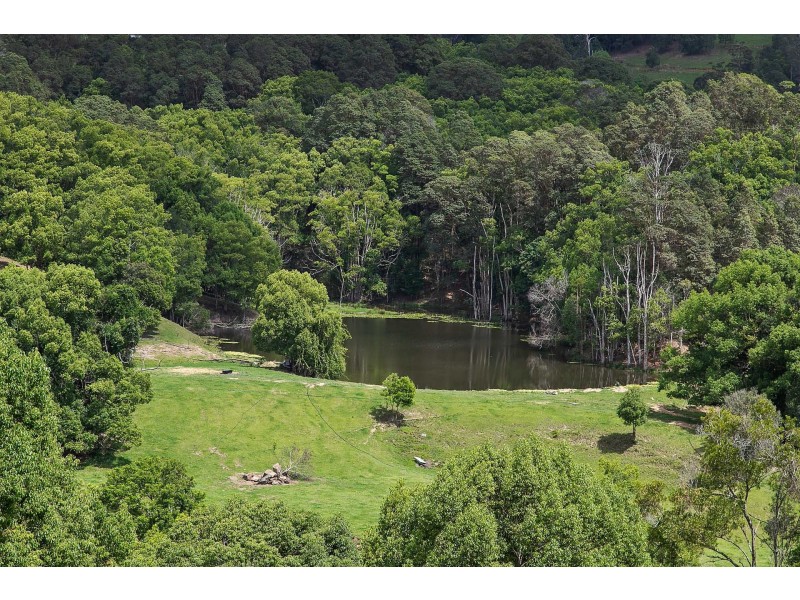 Dunbible NSW 2484