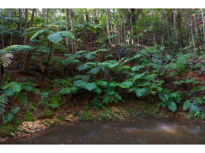 Dunbible NSW 2484