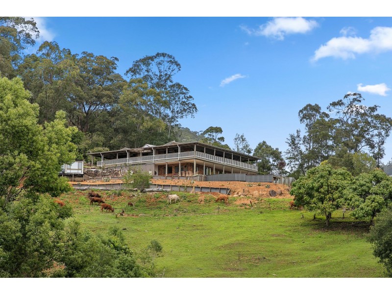 Dunbible NSW 2484