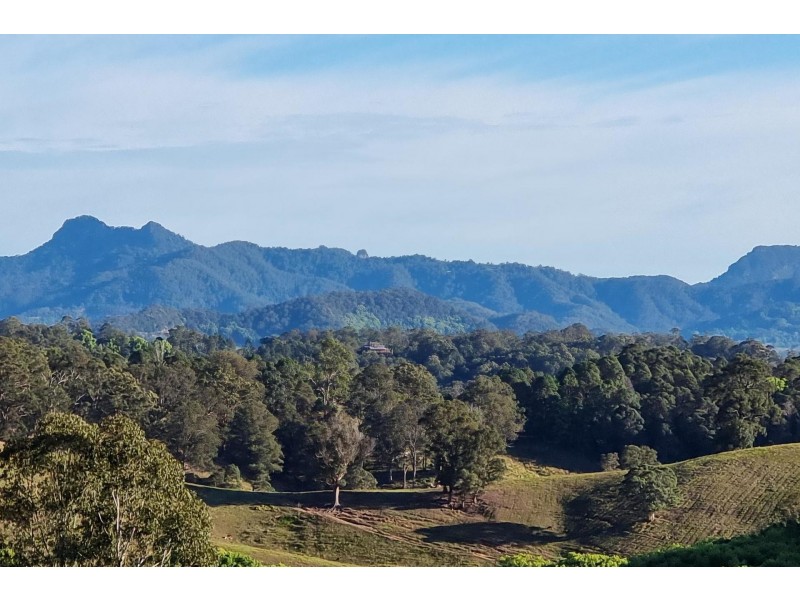 Dunbible NSW 2484