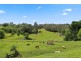 Dunbible NSW 2484