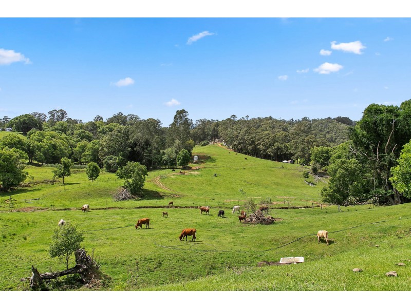 Dunbible NSW 2484