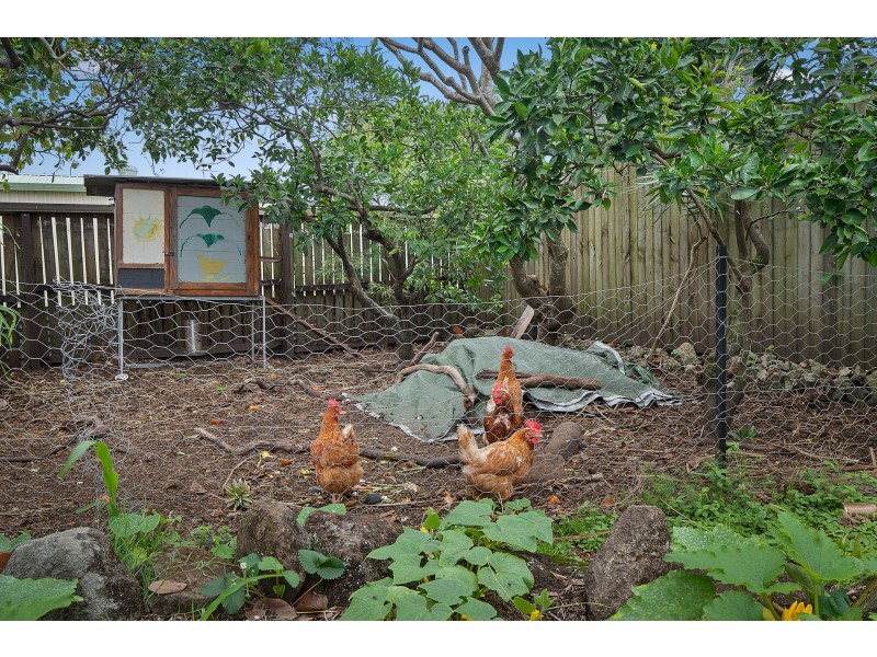 9 New City Road, Mullumbimby NSW 2482