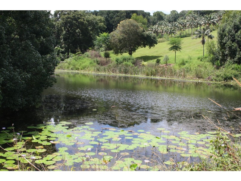 709 Federal Drive, Federal NSW 2480