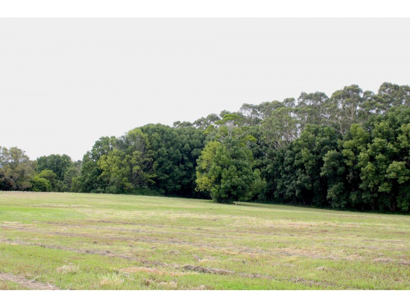 709 Federal Drive, Federal NSW 2480