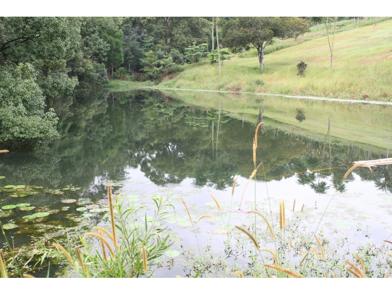 709 Federal Drive, Federal NSW 2480