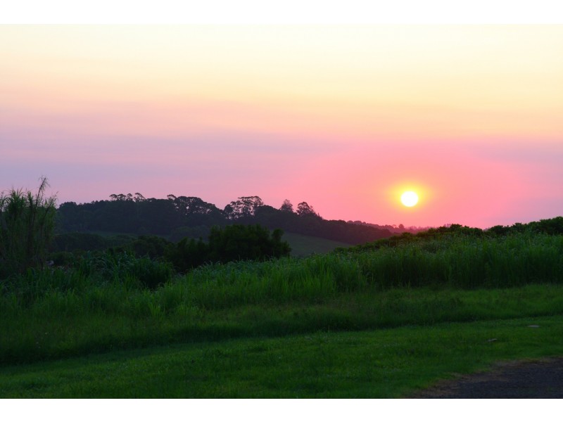 709 Federal Drive, Federal NSW 2480