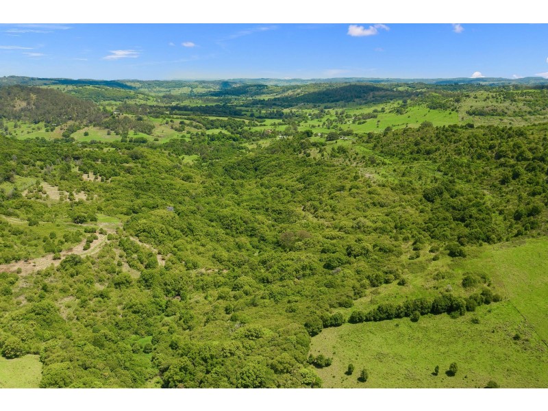 1027 Pinchin Road, The Channon NSW 2480