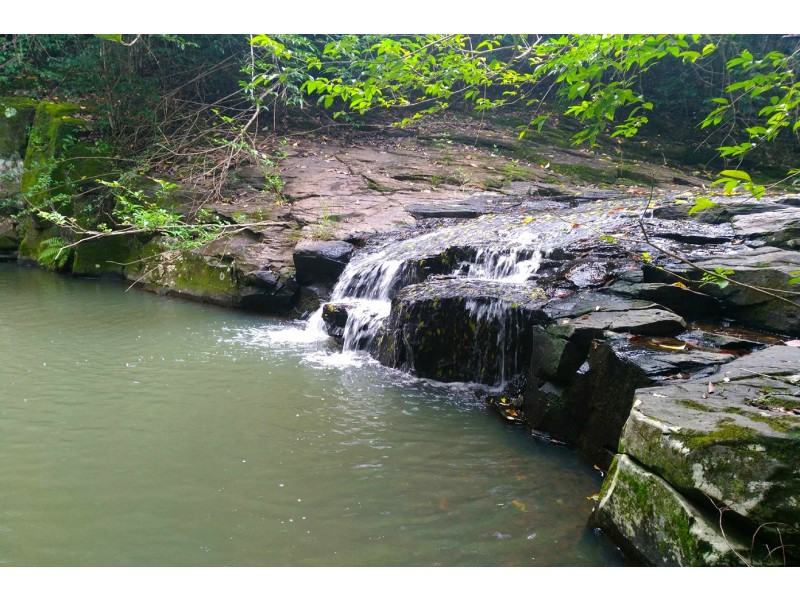 1027 Pinchin Road, The Channon NSW 2480