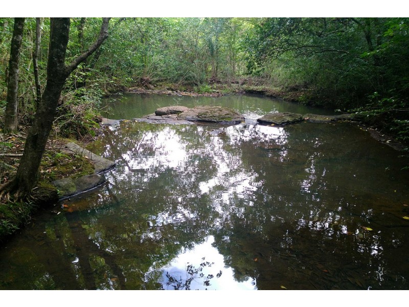 1027 Pinchin Road, The Channon NSW 2480