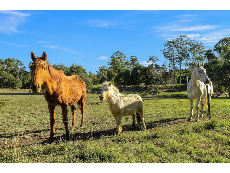 7/11 Davidson Place, Mullumbimby NSW 2482