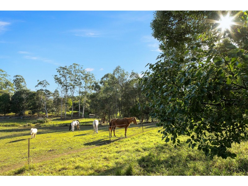 7/11 Davidson Place, Mullumbimby NSW 2482
