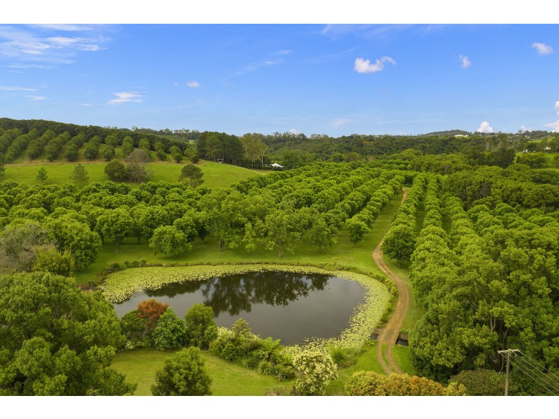 204 Tooheys Mill Road, Nashua NSW 2479