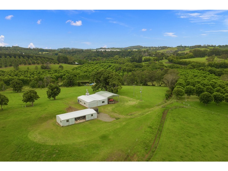 204 Tooheys Mill Road, Nashua NSW 2479