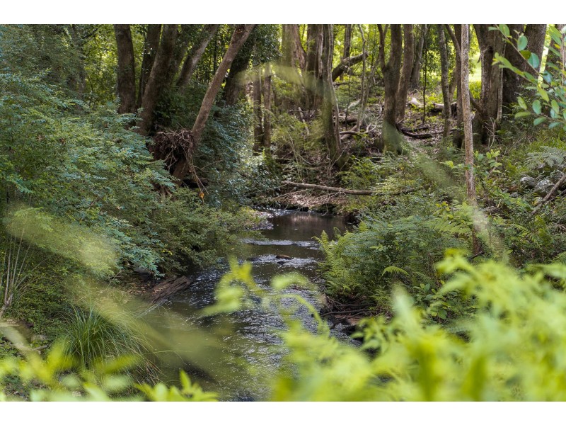 204 Tooheys Mill Road, Nashua NSW 2479