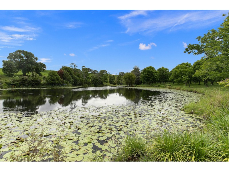 204 Tooheys Mill Road, Nashua NSW 2479