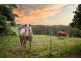 198 Tyagarah Road, Myocum NSW 2481