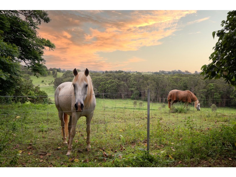 198 Tyagarah Road, Myocum NSW 2481