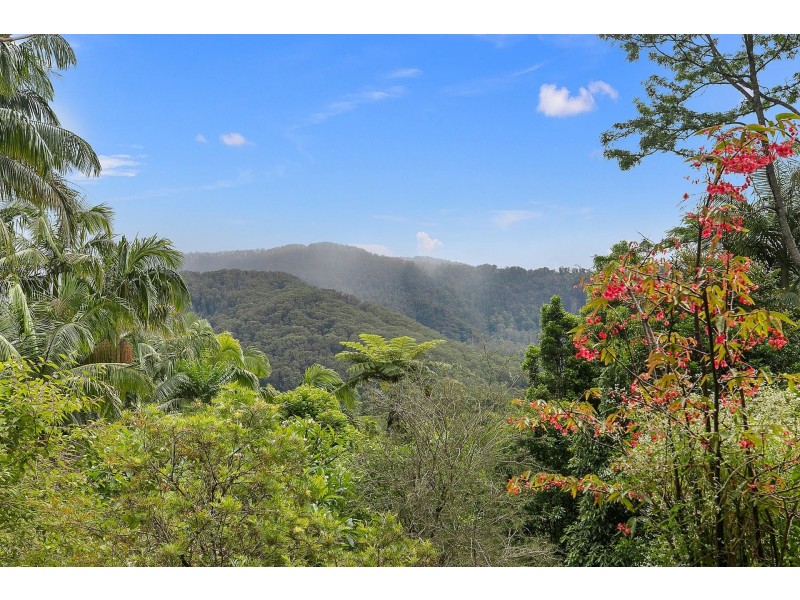 113 Mill Road, Huonbrook NSW 2482