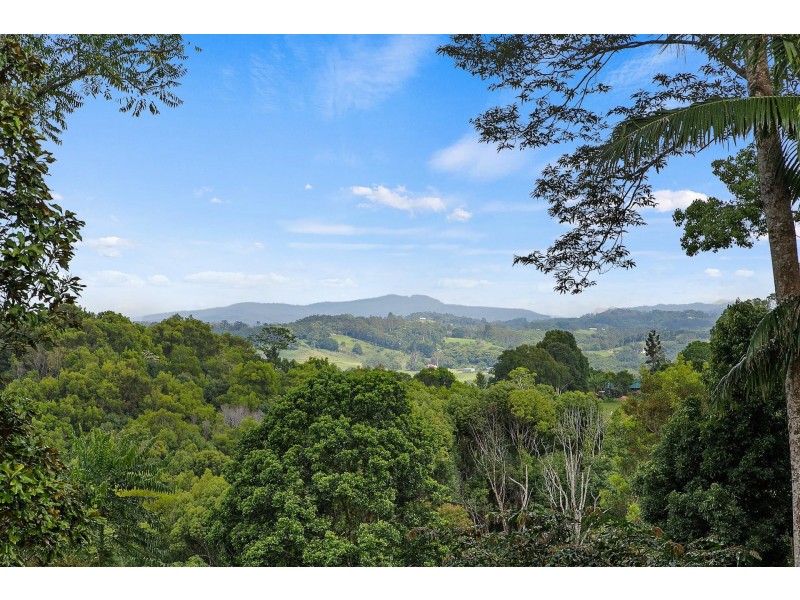 824 Friday Hut Road, Binna Burra NSW 2479