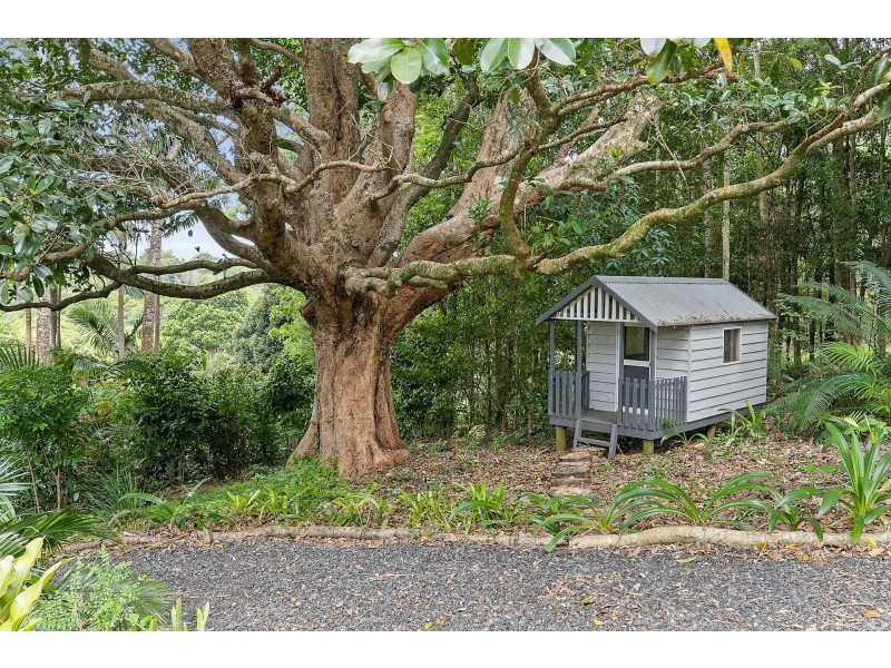 824 Friday Hut Road, Binna Burra NSW 2479