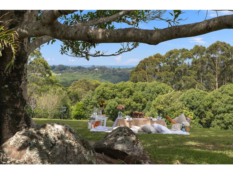 388 Repentance Creek Road, Federal NSW 2480